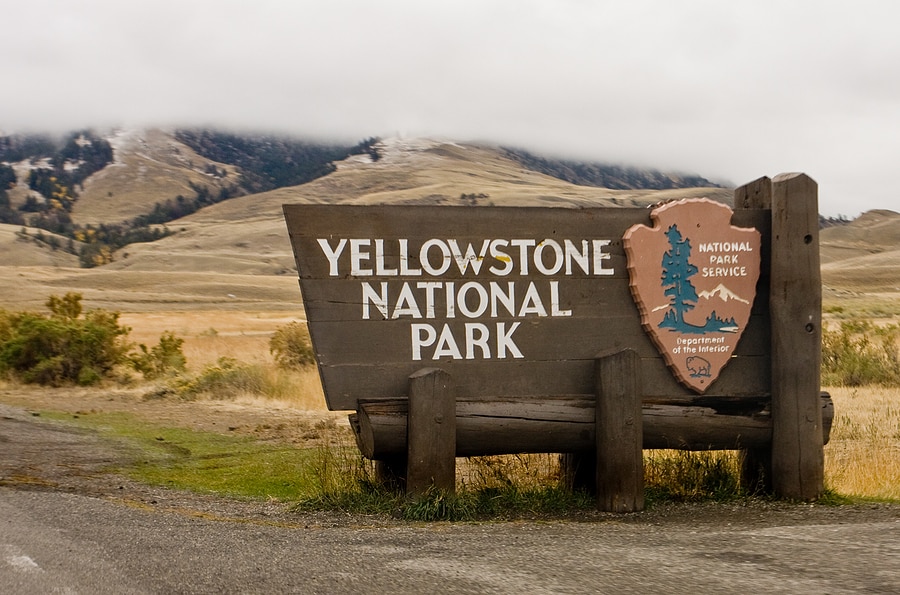 4 Exciting Places to Visit in Yellowstone National Park